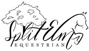 Custom Split Elm Logo